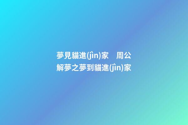 夢見貓進(jìn)家　周公解夢之夢到貓進(jìn)家